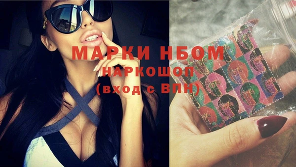 индика Ростов