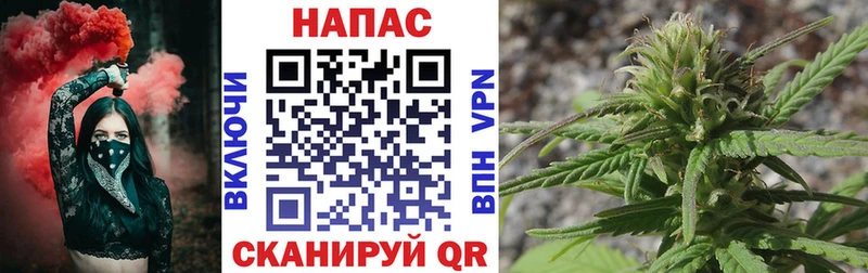 Шишки марихуана семена  где купить наркоту  Зарайск 